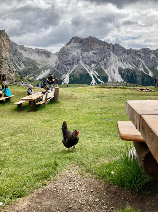 Infos & Tipps: Unterwegs in Südtirol, Teil eins