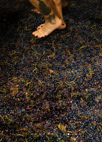 Tenuta Saiano