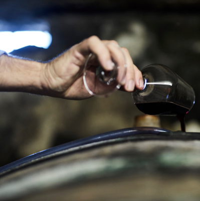 Weingut Koppitsch – Burgenland