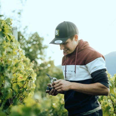 Daniel Sigmund – Südtirol