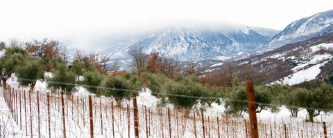 Introducing Abruzzo