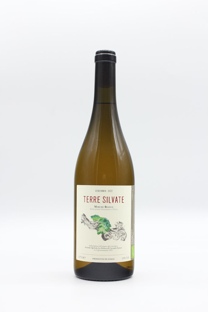 Terre Silvate 2022