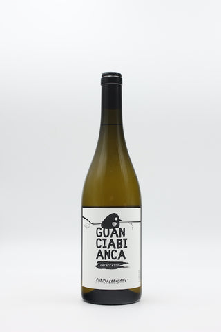Guanciabianca 2022