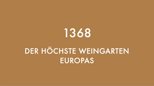 1368 oder der höchste Weingarten Europas