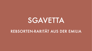 Sgavetta - grape variety from Emilia