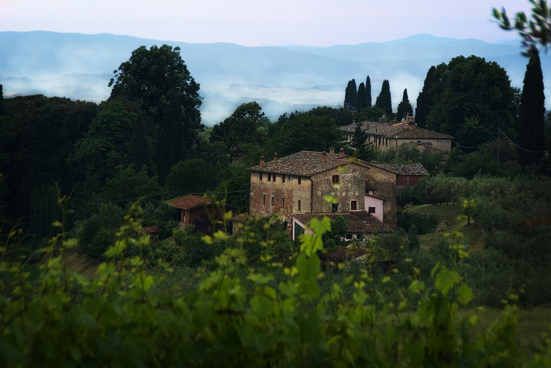 Die Weine von Pacina