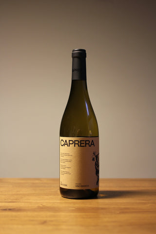 Trebbiano Briccone 2025