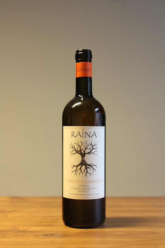 Campo di Colonnello 2024