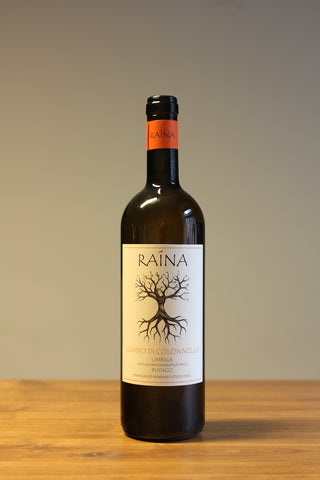 Trebbiano Spoletino, Campo di Colonnello 2024