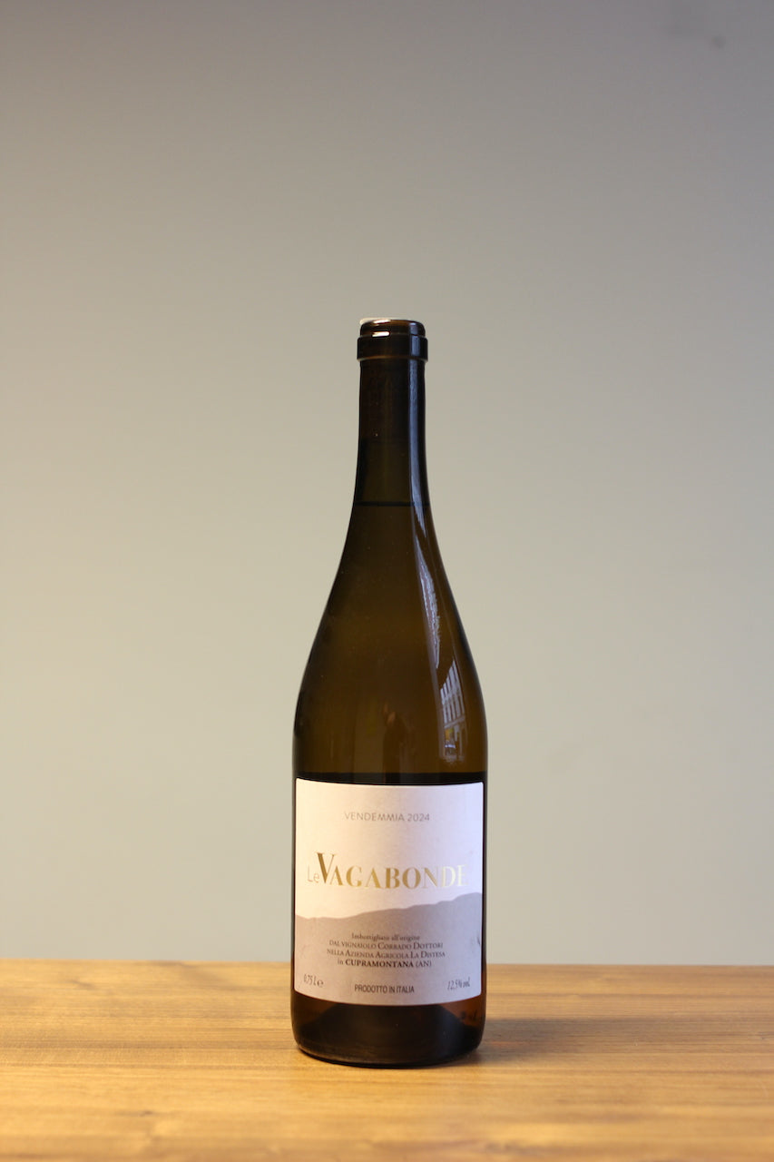 Le Vagabonde 2024