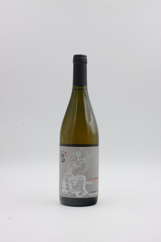 Otro Andar Torrontes 2019
