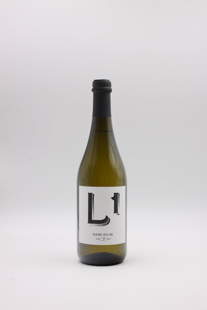 Davide Spillare: L1 2021